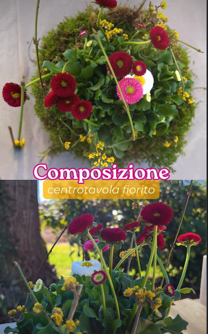 Reel Fioriamo-Centrotavola